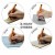 PCL-3C_PCL-3D_PCL-3_b11.jpg